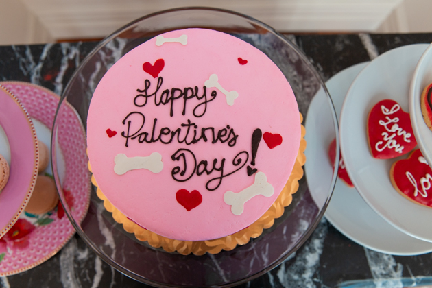 Happy Palentine's Day Cake by Viktor Bennes Bakery, The Fash Life Series, Behind the Scenes, Palentine's Day, Dog Party, Puppy Picnic, Puppy Party, Fashion Blogger TV Show #thefashlifeseries #happypalentinesday #puppyparty #behindthescenes #dogpicnic #palentinesday #puppypicnic