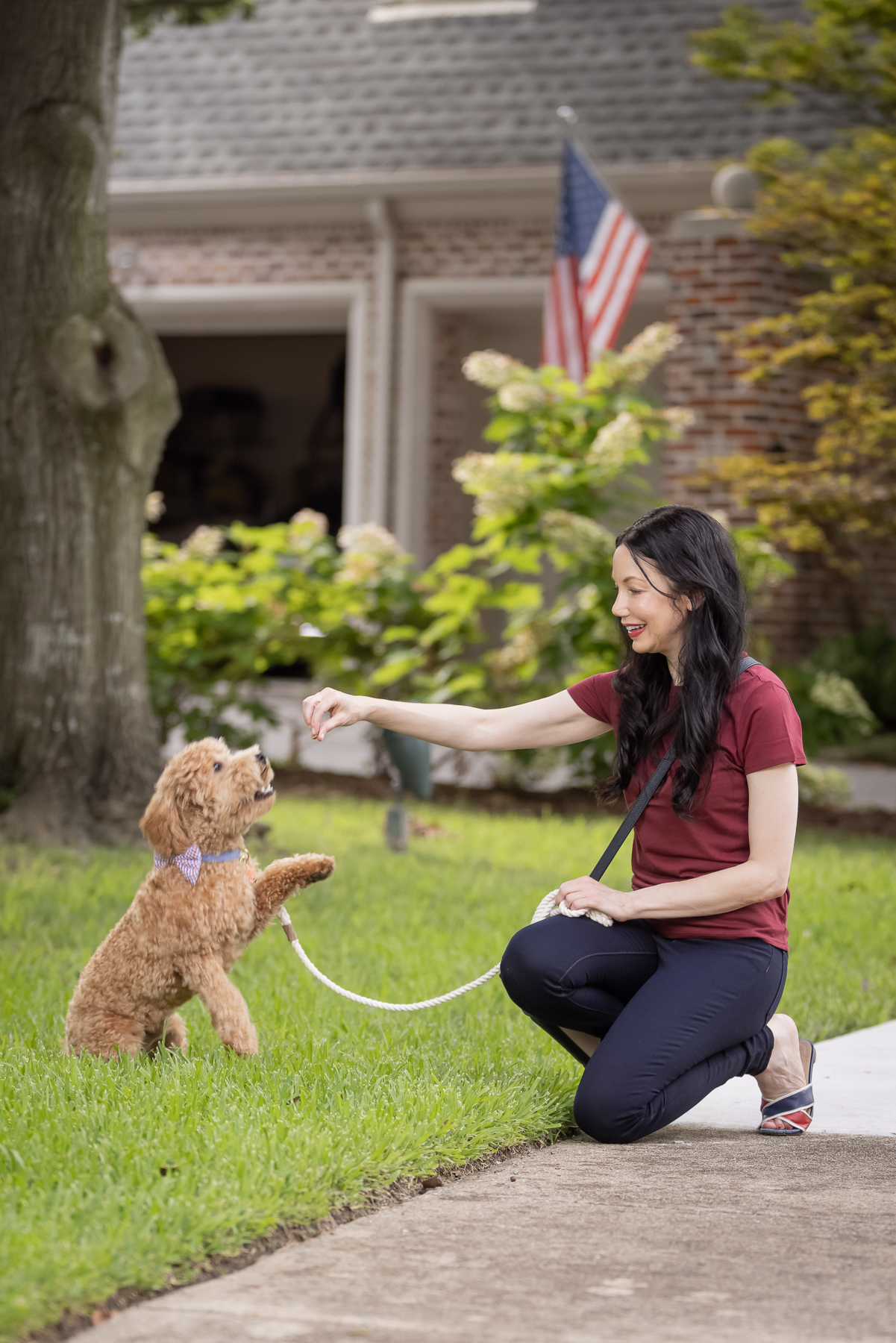 Mott & Bow Jeans and Tee Shirt, Tommy Hilfiger Crossbody Bag, J. Crew Sandals, Italic Cateye Sunglasses, Mini Goldendoodle puppy, Foggy Dog Bowtie, Preppy Style, Dallas Fashion Blogger | Mott and Bow Jeans by popular Dallas fashion blog, Pretty Little Shoppers: image of a woman wearing a crimson t-shirt, Mott and Bow Jeans, blue and red strap slide sandals, and Black and Tan crossbody bag while kneeling on the sidewalk and giving her doodle breed dog a treat.