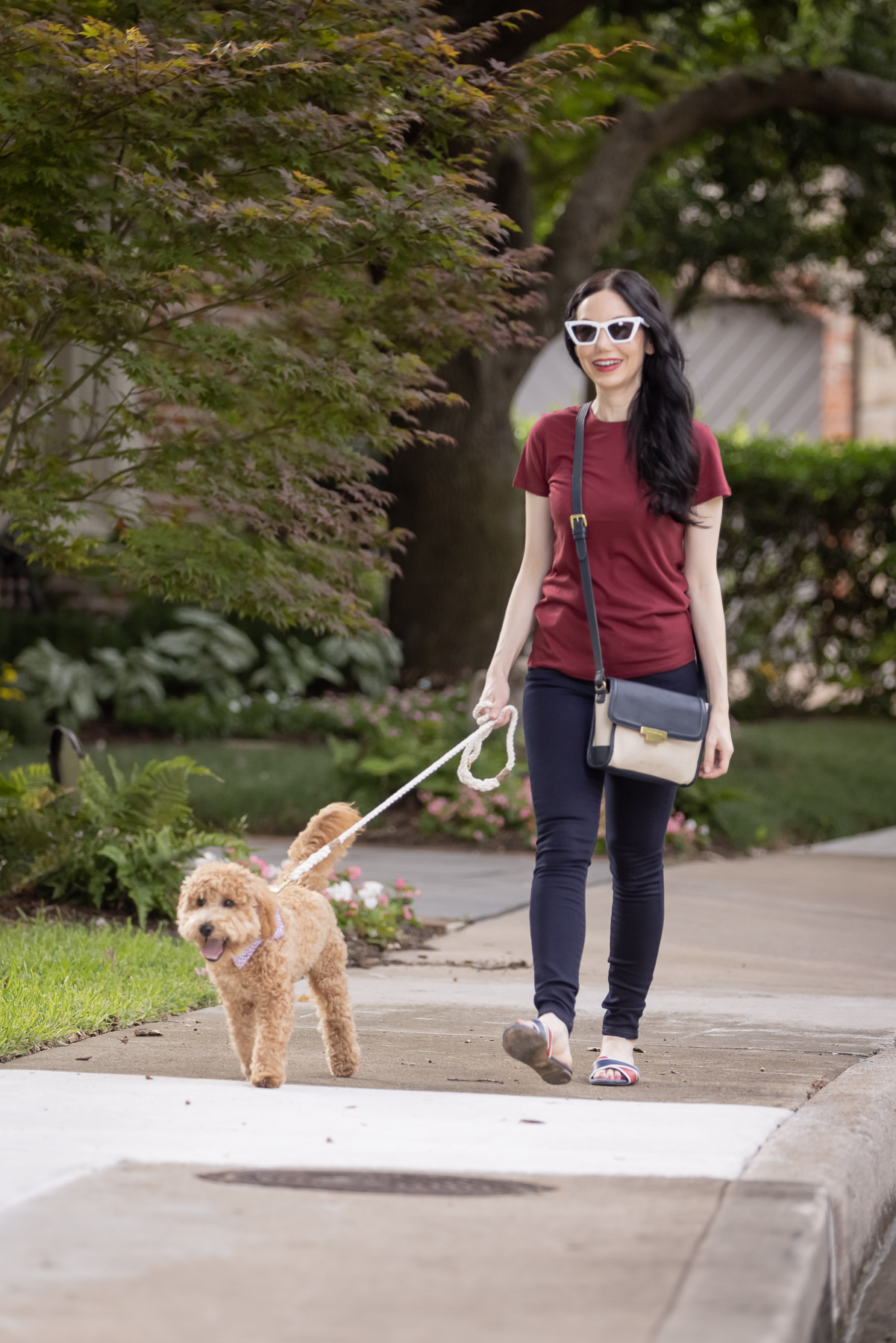 Mott & Bow Jeans and Tee Shirt, Tommy Hilfiger Crossbody Bag, J. Crew Sandals, Italic Cateye Sunglasses, Mini Goldendoodle puppy, Foggy Dog Bowtie, Preppy Style, Dallas Fashion Blogger | Mott and Bow Jeans by popular Dallas fashion blog, Pretty Little Shoppers: image of a woman wearing a crimson t-shirt, Mott and Bow Jeans, blue and red strap slide sandals, and black and tan crossbody bag while walking her doodle breed dog. 