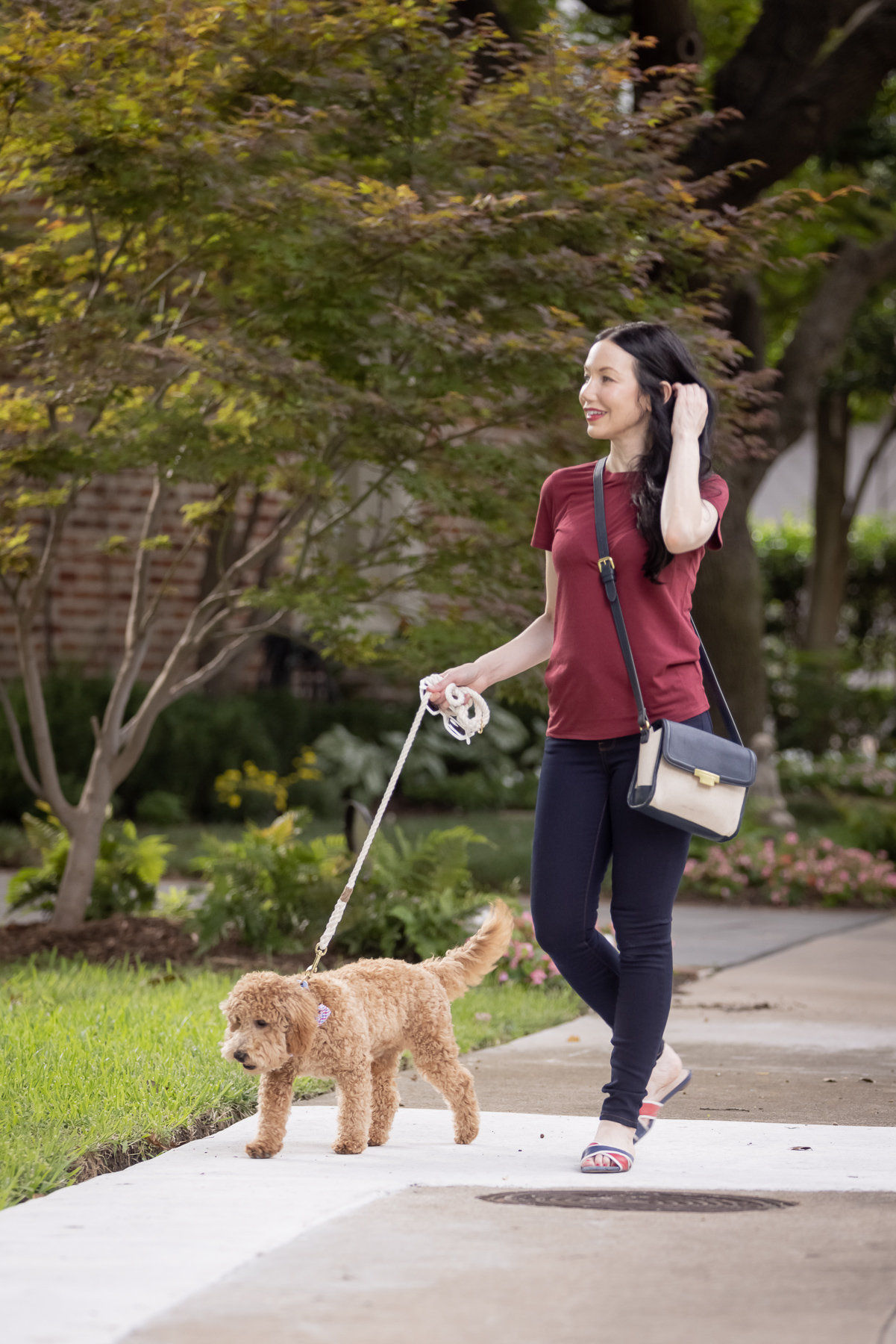 Mott & Bow Jeans and Tee Shirt, Tommy Hilfiger Crossbody Bag, J. Crew Sandals, Italic Cateye Sunglasses, Mini Goldendoodle puppy, Foggy Dog Bowtie, Preppy Style, Dallas Fashion Blogger | Mott and Bow Jeans by popular Dallas fashion blog, Pretty Little Shoppers: image of a woman wearing a crimson t-shirt, Mott and Bow Jeans, blue and red strap slide sandals, and black and tan crossbody bag while walking her doodle breed dog. 