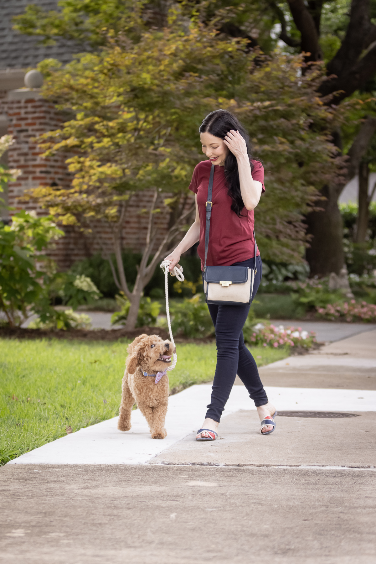 Mott & Bow Jeans and Tee Shirt, Tommy Hilfiger Crossbody Bag, J. Crew Sandals, Italic Cateye Sunglasses, Mini Goldendoodle puppy, Foggy Dog Bowtie, Preppy Style, Dallas Fashion Blogger | Mott and Bow Jeans by popular Dallas fashion blog, Pretty Little Shoppers: image of a woman wearing a crimson t-shirt, Mott and Bow Jeans, blue and red strap slide sandals, and black and tan crossbody bag while walking her doodle breed dog outside. 