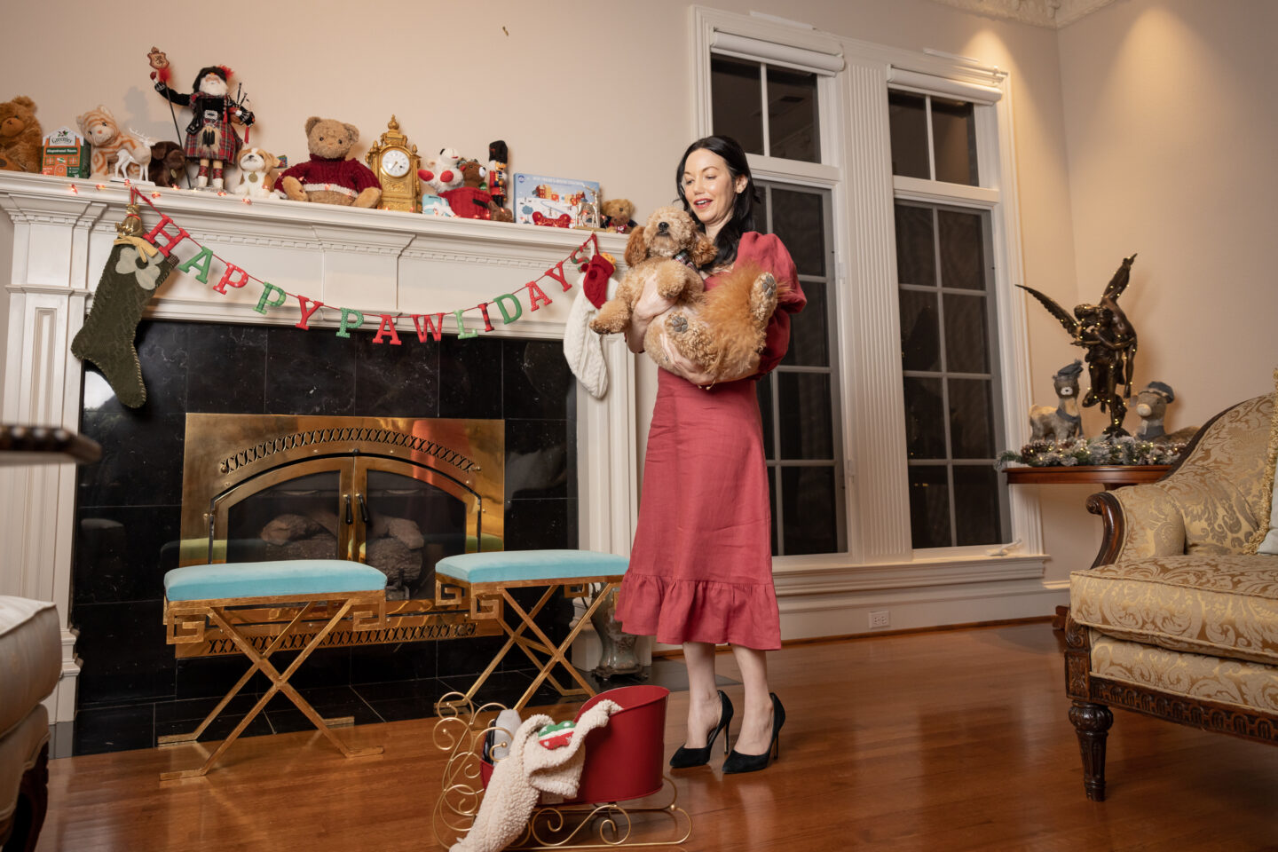 Gaala Paris Dress, Mini Goldendoodle Puppy, Christmas Decorations, Vintage Sleigh