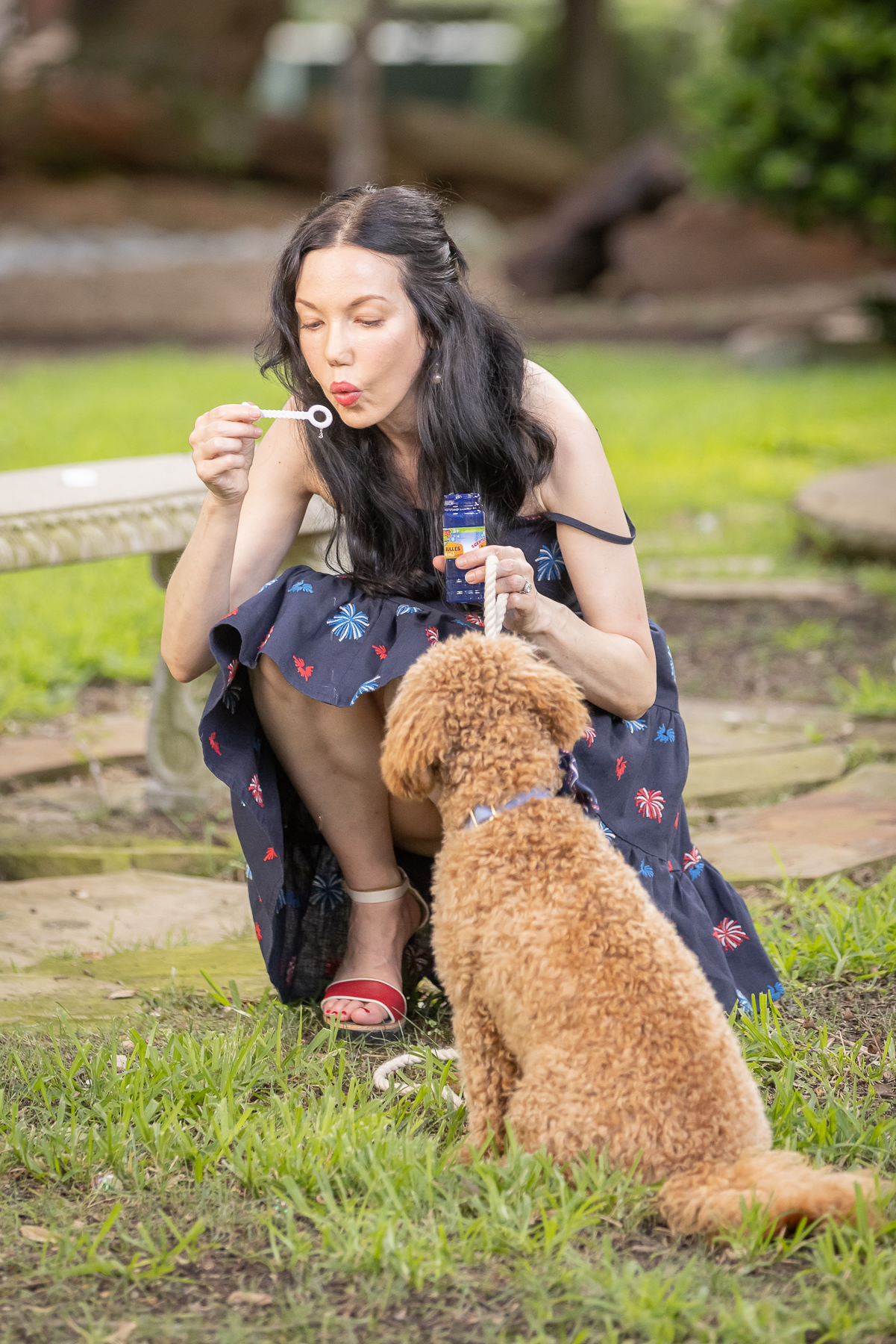 Kiel James Patrick American Celebration Dress, Mini Golden Doodle Puppy, 4th of July Outfit, Blowing Bubbles, Park Bench