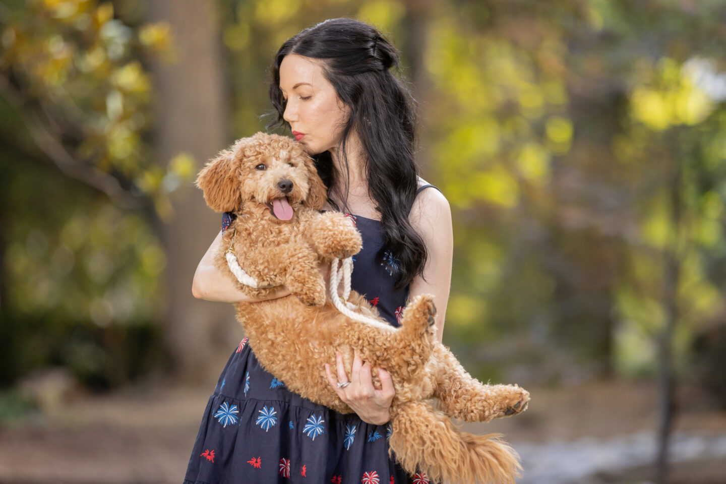 4th of July Dog Bowtie, Mini Goldendoodle Puppy,  Kiel James Patrick American Celebration Dress