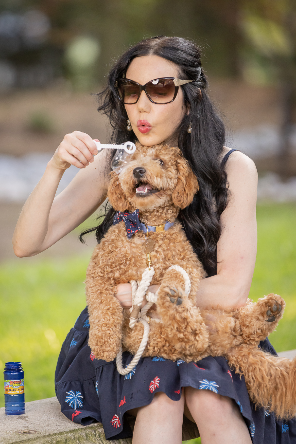 4th of July Dog Bowtie, Mini Goldendoodle Puppy, Blowing Bubbles with Puppy, Kiel James Patrick American Celebration Dress