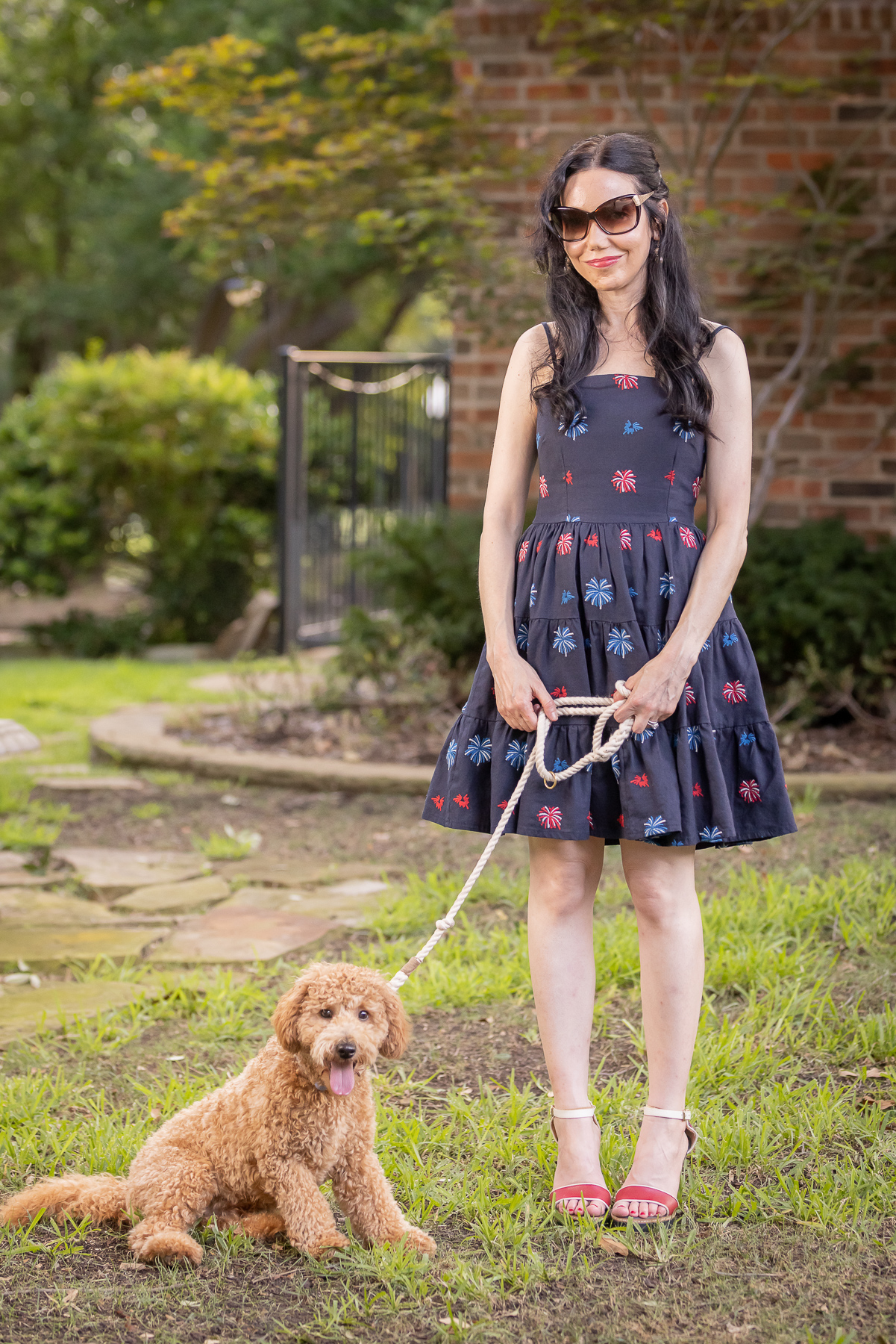 4th of July Dog Bowtie, Mini Goldendoodle Puppy,  Kiel James Patrick American Celebration Dress