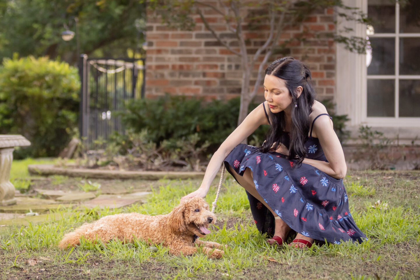 4th of July Dog Bowtie, Mini Goldendoodle Puppy,  Kiel James Patrick American Celebration Dress