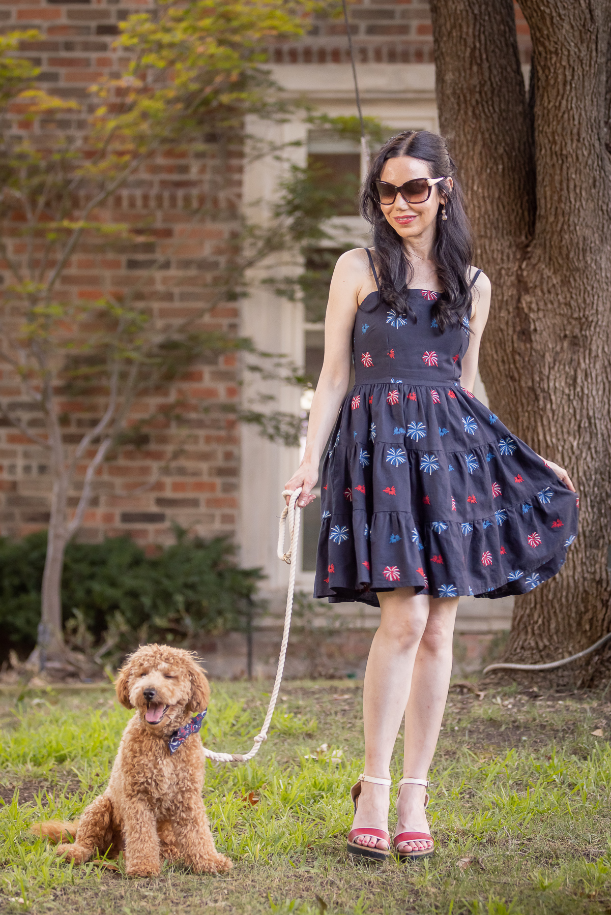 4th of July Dog Bowtie, Mini Goldendoodle Puppy,  Kiel James Patrick American Celebration Dress