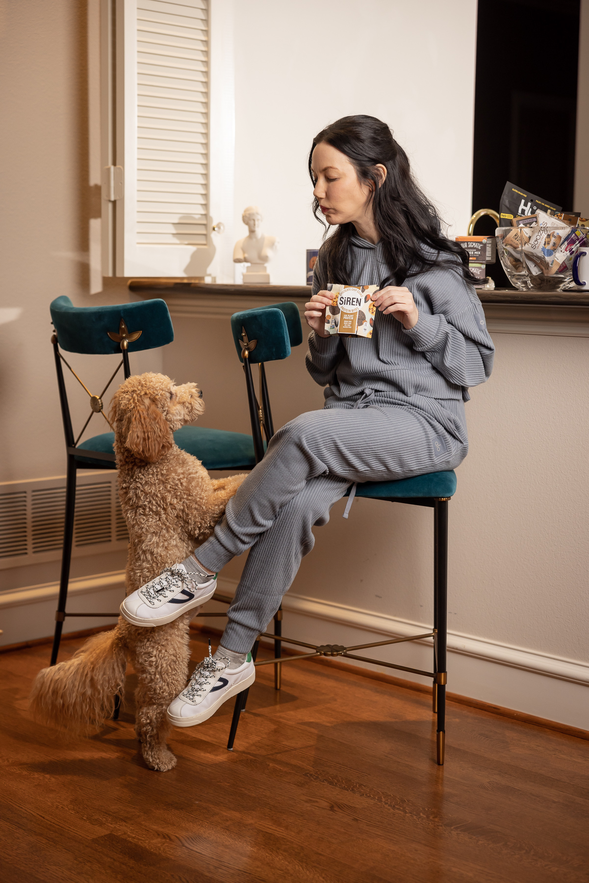 Dallas Home Interior, Alo Yoga Muse Hoodie and Sweatpant Set, Adaptogens, Healthy Snacks, Home Update, Mini Goldendoodle Puppy, Jonathan Adler Rider Counter Stools, Home Bar, Yappy.com custom mug 