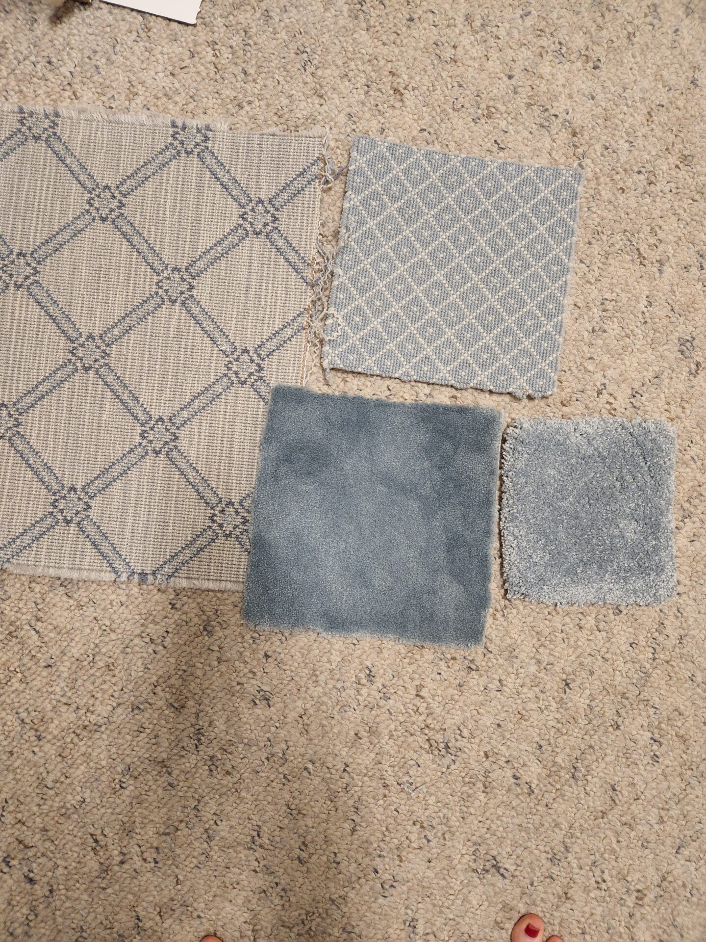 Hollywood Regency Dream Closet Carpet Options