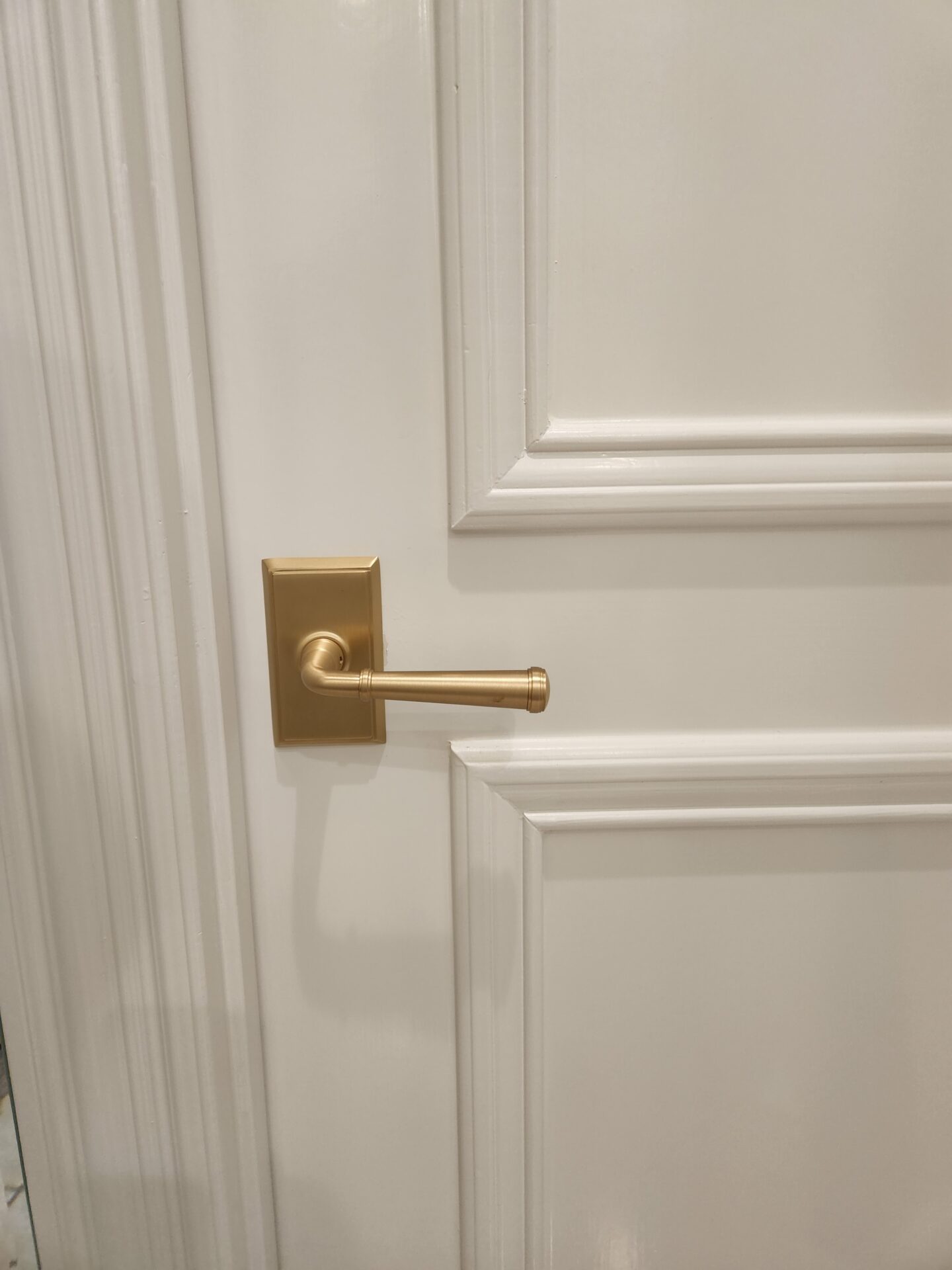 Emtek Brass Lever and Door Plate